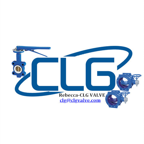 CLG Valve Technology Co.,Ltd