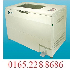 Tủ ấm lắc loại dung tích lớn - Máy lắc ổn nhiệt  LHZ-111