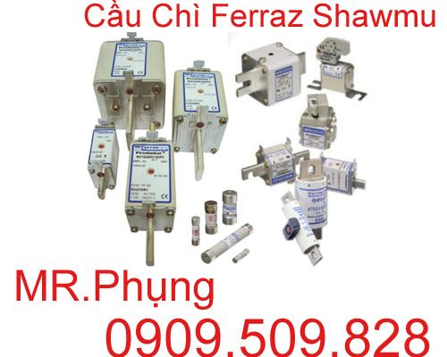 Cầu chì Ferraz Shawmut 660GH-100