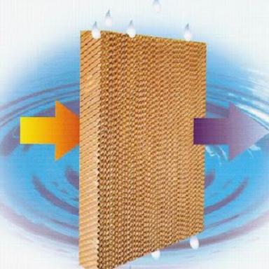 Tấm làm mát cooling pad