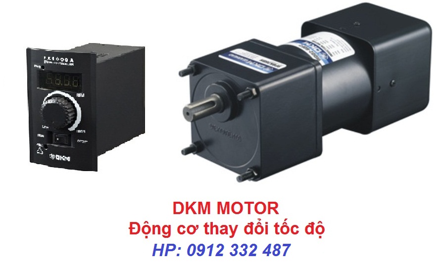 Động cơ thay đổi tốc độ 9SDGE_120F2P