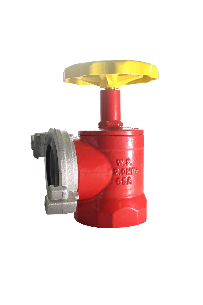 Van góc chữa cháy DN65 (Van gang)