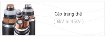 Cáp ngầm trung thế LS Vina