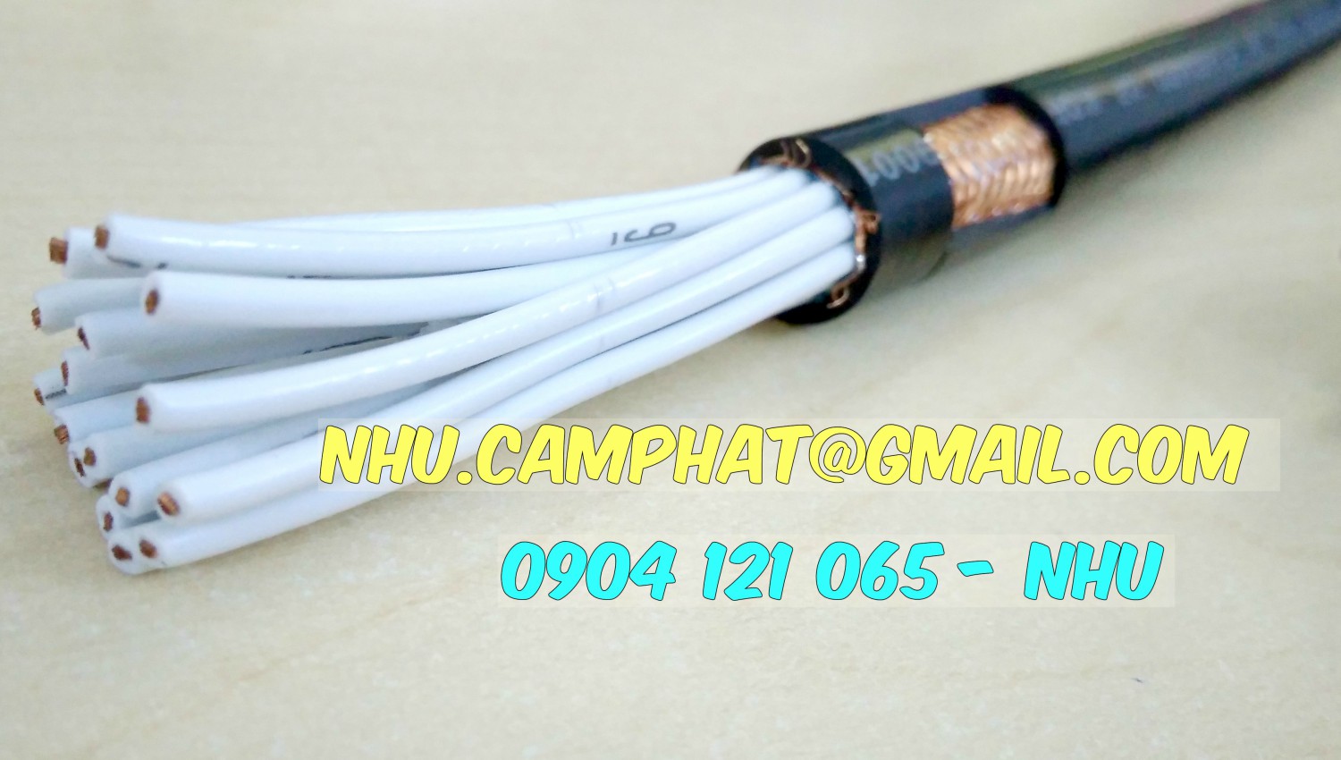 Cáp truyền tín hiệu, cáp chống nhiễu sangjin nhập khẩu