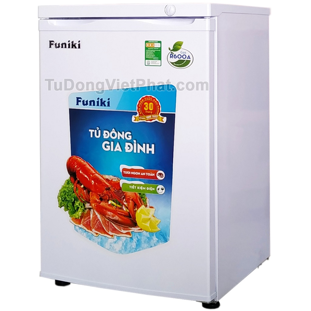 Tủ đông đứng Hòa Phát Funiki HCF 116S 100 lít 4 ngăn
