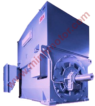 Động cơ điện cao thế
