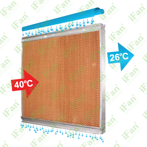 Màng Nước Giải Nhiệt Tấm Coolingpad